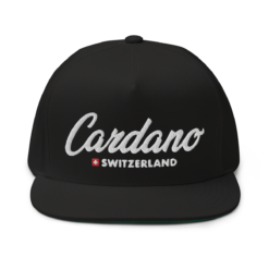 Cardano Switzerland Snapback Hat - Image 2