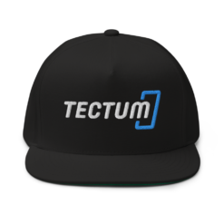 Tectum Snapback Hat