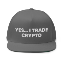Yes, I Trade Crypto Flat Bill Cap - Image 2