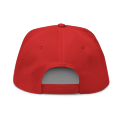 SafeBlast Snapback Hat - Image 4