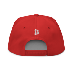 🇺🇸 Bitcoin Made in America Snapback Hat - Image 2