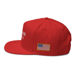 🇺🇸 Bitcoin Made in America Snapback Hat - Image 3