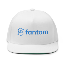 Fantom Snapback Hat